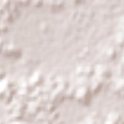 Carrillo Puerto Terrain Map