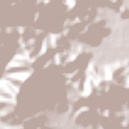 Rincón de López Terrain Map