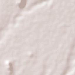 San Antonio la Labor Terrain Map