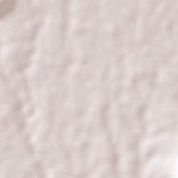 Nueva Italia de Ruiz Terrain Map