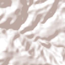 San Simón de Guerrero Terrain Map