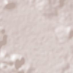 Nealtican Terrain Map