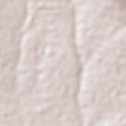 Guadalupe Morelos Terrain Map