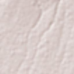 San Sebastián Villanueva Terrain Map