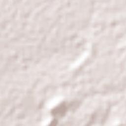 Ahuatepec de Camino Terrain Map