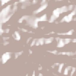 Tenixtepec Terrain Map