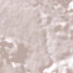 Tomatlán Terrain Map