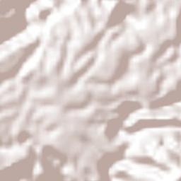 Ocotitlán Terrain Map