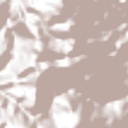 Buena Vista Terrain Map