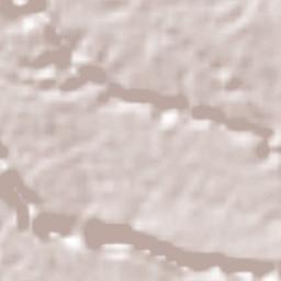 Ejido la Piña (Maromilla) Terrain Map