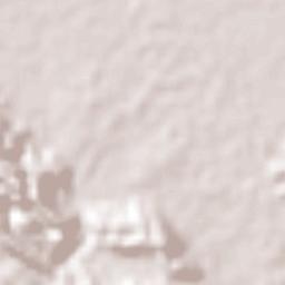 Sabana de la Mar Terrain Map