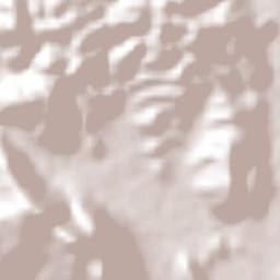 Ixtlahuacán Terrain Map