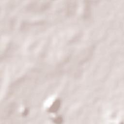 Bonifacio Moreno (El Aguaje) Terrain Map