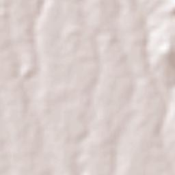 Cuatro Caminos Terrain Map