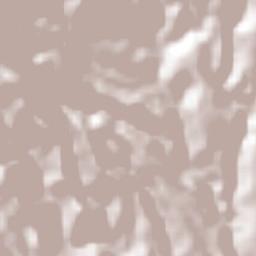 San Bartolomé Terrain Map