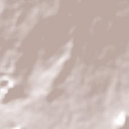 Nepopualco Terrain Map