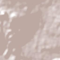 Nepantla de Sor Juana Inés de la Cruz Terrain Map