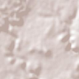 Tecuanipan Terrain Map