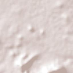 Chipilo de Francisco Javier Mina Terrain Map