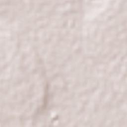 Acatzingo Terrain Map