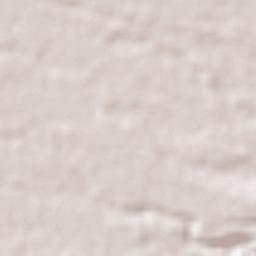 Camarón de Tejeda Terrain Map