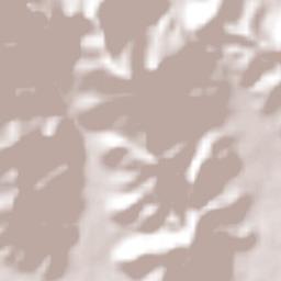 Armería Terrain Map