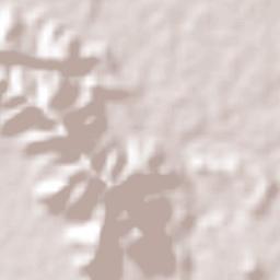 Cofradía de Juárez Terrain Map