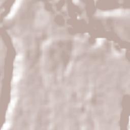 Jesús Carranza (Rancho de Jesús) Terrain Map