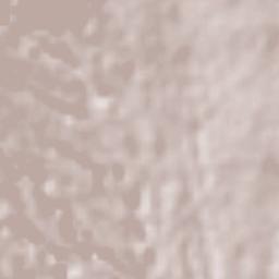 Cuernavaca Terrain Map