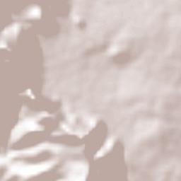 Tlayacapan Terrain Map