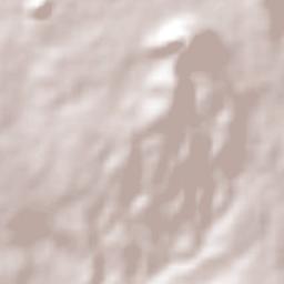 Cuauhtempan (San Andrés Cuauhtempan) Terrain Map