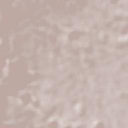 San Pedro Benito Juárez Terrain Map