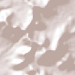 Chalchihuapan Terrain Map