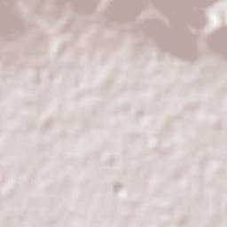 Santa Cruz Ajajalpan Terrain Map