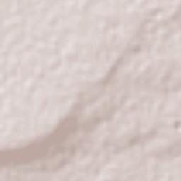 Miguel Negrete Terrain Map