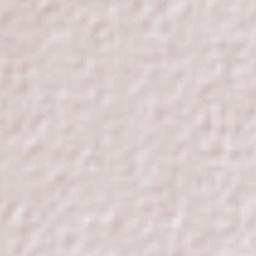 Progreso de Juárez Terrain Map