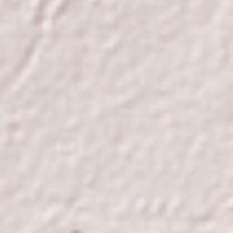 San Simón Terrain Map