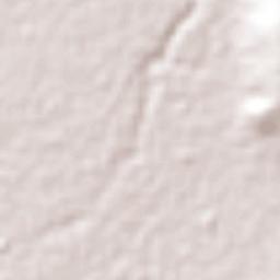 Quecholac Terrain Map