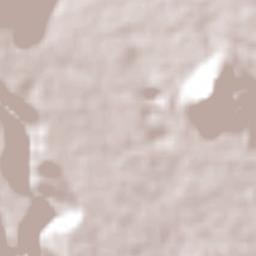 Santa Lucía Potrerillo Terrain Map