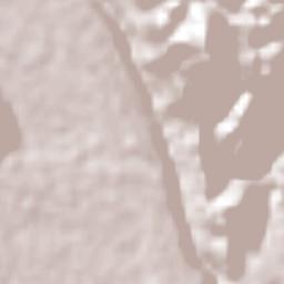 San Isidro Palotal Terrain Map