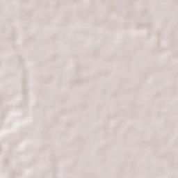 Paso del Macho Terrain Map