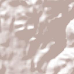 San Andrés Tepetitlán Terrain Map