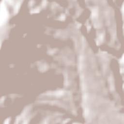 Totolmajac Terrain Map