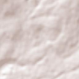 Emiliano Zapata (Casahuates) Terrain Map