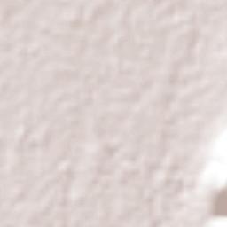 Huixcolotla Terrain Map