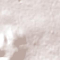 Lomas de Santa Cruz Terrain Map