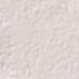 Tuzuapan Terrain Map