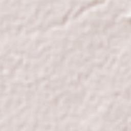 San Bartolomé Terrain Map