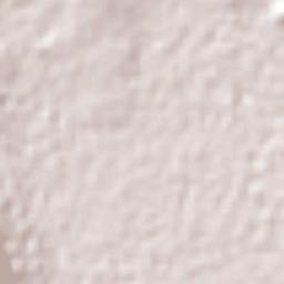 San Pedro Temamatla Terrain Map