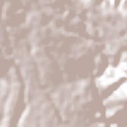 Loma Grande Terrain Map